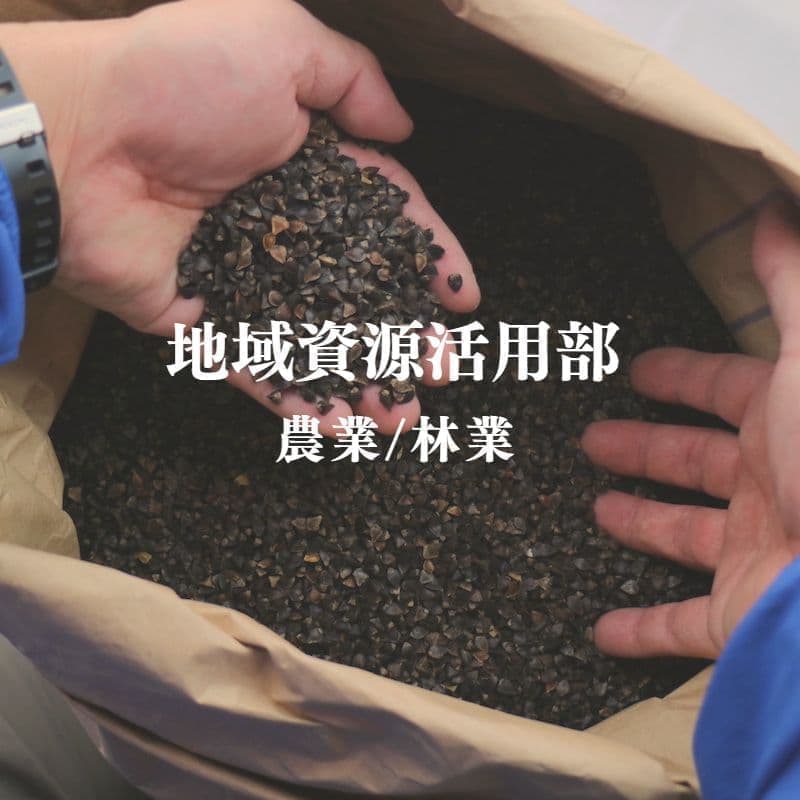 地域資源活用部