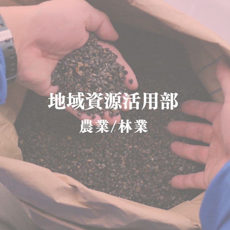 地域資源活用部